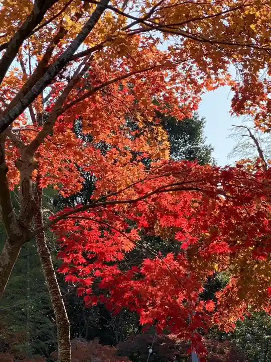 茨城縣護國神社(茨城県)