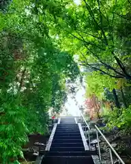 滑川神社 - 仕事と子どもの守り神の自然