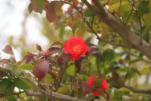 豊景神社の自然