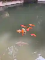 巌島神社(茨城県)