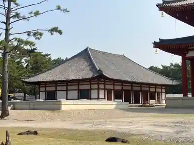 興福寺(奈良県)