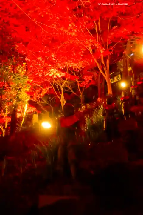 大山寺(神奈川県)