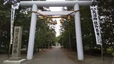 長沼神社の鳥居