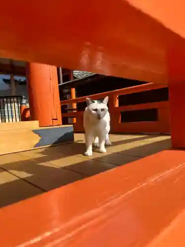 龍泉寺(愛知県)