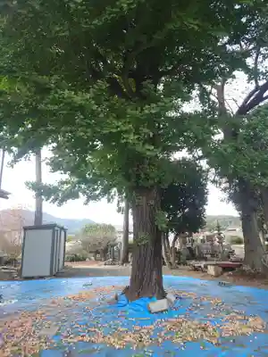 極楽寺(埼玉県)