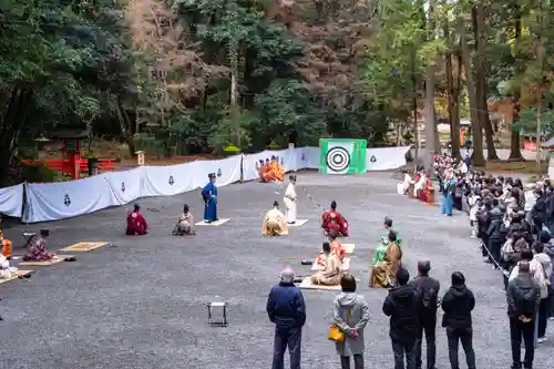 宇佐神宮(大分県)