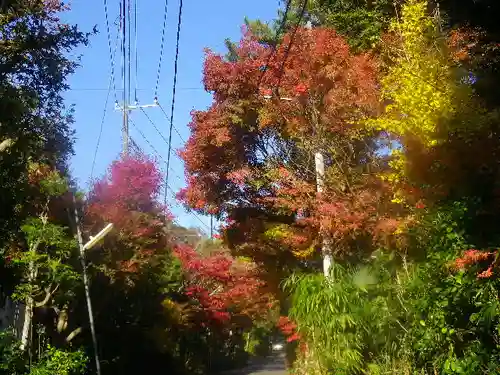 海蔵寺の景色