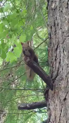 相馬神社(北海道)