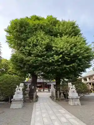 亀ケ池八幡宮の{uncategorized: "未分類", other: "その他", undefined: "問題あり", building: "その他建物", grave: "お墓", sacred_gate: "鳥居", guardian: "狛犬", statue: "像", buddha: "仏像", history: "歴史", nature: "自然", garden: "庭園", animal: "動物", pagoda: "塔", temizu: "手水舎", mountain_gate: "山門・神門", sanctuary: "本殿・本堂", subordinate: "末社・摂社", art: "芸術", scenery: "景色", jizo: "地蔵", ema: "絵馬", goshuin: "御朱印", omikuji: "おみくじ", items: "授与品その他", amulet: "お守り", goshuincho: "御朱印帳", eats: "食事", festival: "お祭り", votive_dance: "神楽", shichigosan: "七五三参", wedding: "結婚式", experience: "体験その他", initially: "初詣", around: "周辺", anti_infection: "感染症対策"}
