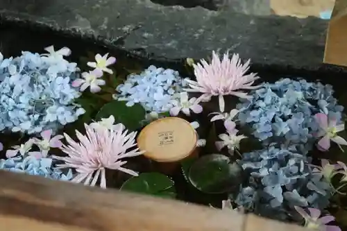 賀茂別雷神社（上賀茂神社）の手水舎