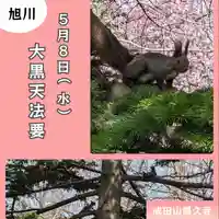 眞久寺の体験その他