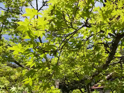 雲興寺(愛知県)