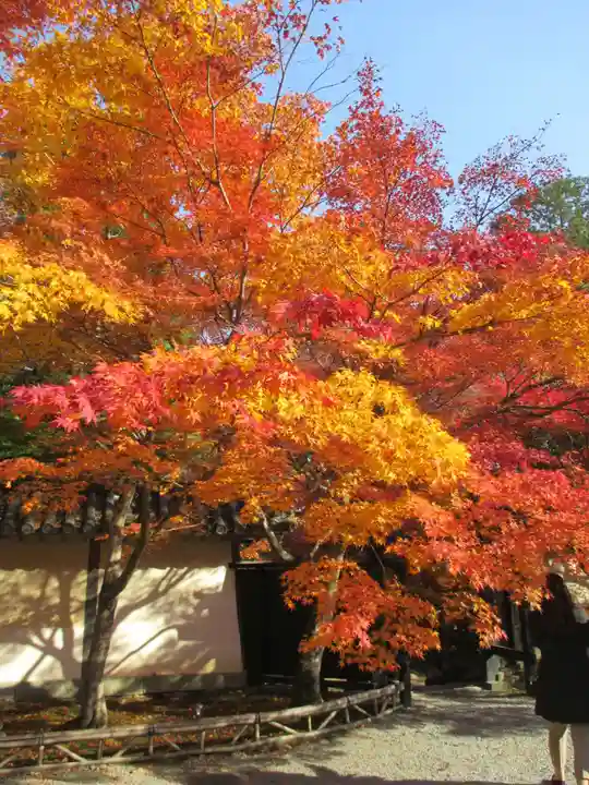 二尊院(京都府)