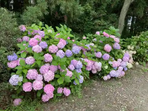 白山神社の自然