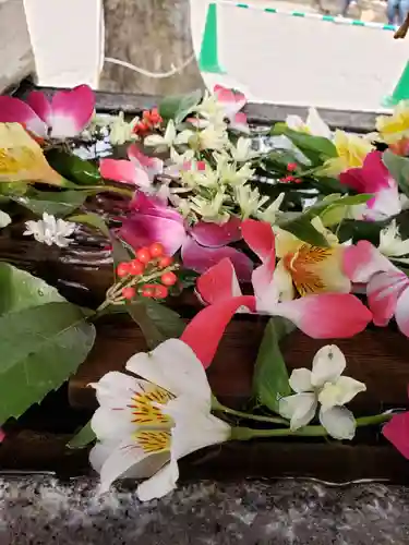 鳩森八幡神社の手水舎