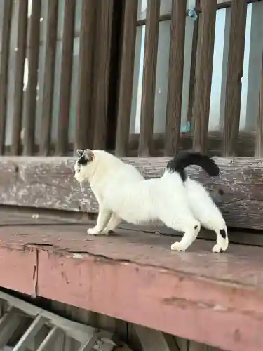 智音神社(神奈川県)