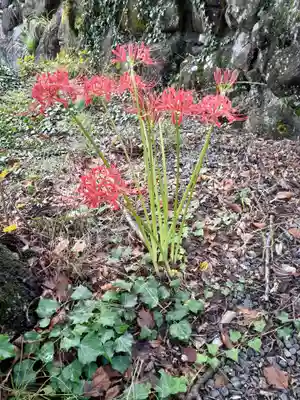 天王寺(福島県)