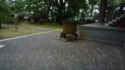 西念寺のその他建物