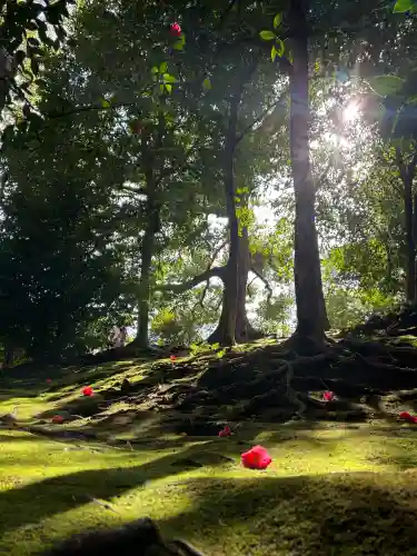 城南宮の{uncategorized: "未分類", other: "その他", undefined: "問題あり", building: "その他建物", grave: "お墓", sacred_gate: "鳥居", guardian: "狛犬", statue: "像", buddha: "仏像", history: "歴史", nature: "自然", garden: "庭園", animal: "動物", pagoda: "塔", temizu: "手水舎", mountain_gate: "山門・神門", sanctuary: "本殿・本堂", subordinate: "末社・摂社", art: "芸術", scenery: "景色", jizo: "地蔵", ema: "絵馬", goshuin: "御朱印", omikuji: "おみくじ", items: "授与品その他", amulet: "お守り", goshuincho: "御朱印帳", eats: "食事", festival: "お祭り", votive_dance: "神楽", shichigosan: "七五三参", wedding: "結婚式", experience: "体験その他", initially: "初詣", around: "周辺", anti_infection: "感染症対策"}