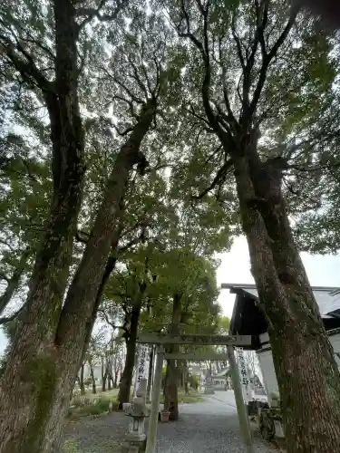 御裳神社の{uncategorized: "未分類", other: "その他", undefined: "問題あり", building: "その他建物", grave: "お墓", sacred_gate: "鳥居", guardian: "狛犬", statue: "像", buddha: "仏像", history: "歴史", nature: "自然", garden: "庭園", animal: "動物", pagoda: "塔", temizu: "手水舎", mountain_gate: "山門・神門", sanctuary: "本殿・本堂", subordinate: "末社・摂社", art: "芸術", scenery: "景色", jizo: "地蔵", ema: "絵馬", goshuin: "御朱印", omikuji: "おみくじ", items: "授与品その他", amulet: "お守り", goshuincho: "御朱印帳", eats: "食事", festival: "お祭り", votive_dance: "神楽", shichigosan: "七五三参", wedding: "結婚式", experience: "体験その他", initially: "初詣", around: "周辺", anti_infection: "感染症対策"}