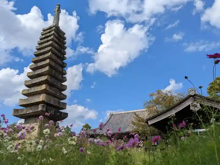 般若寺 ❁コスモス寺❁の塔