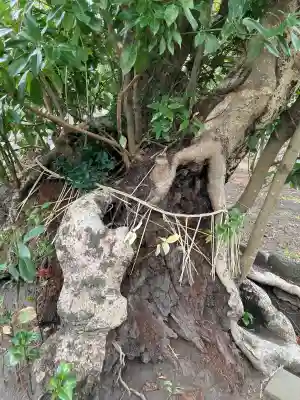 為朝神社（頭殿神社）の{uncategorized: "未分類", other: "その他", undefined: "問題あり", building: "その他建物", grave: "お墓", sacred_gate: "鳥居", guardian: "狛犬", statue: "像", buddha: "仏像", history: "歴史", nature: "自然", garden: "庭園", animal: "動物", pagoda: "塔", temizu: "手水舎", mountain_gate: "山門・神門", sanctuary: "本殿・本堂", subordinate: "末社・摂社", art: "芸術", scenery: "景色", jizo: "地蔵", ema: "絵馬", goshuin: "御朱印", omikuji: "おみくじ", items: "授与品その他", amulet: "お守り", goshuincho: "御朱印帳", eats: "食事", festival: "お祭り", votive_dance: "神楽", shichigosan: "七五三参", wedding: "結婚式", experience: "体験その他", initially: "初詣", around: "周辺", anti_infection: "感染症対策"}