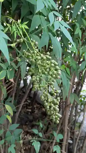 京都大神宮(京都府)