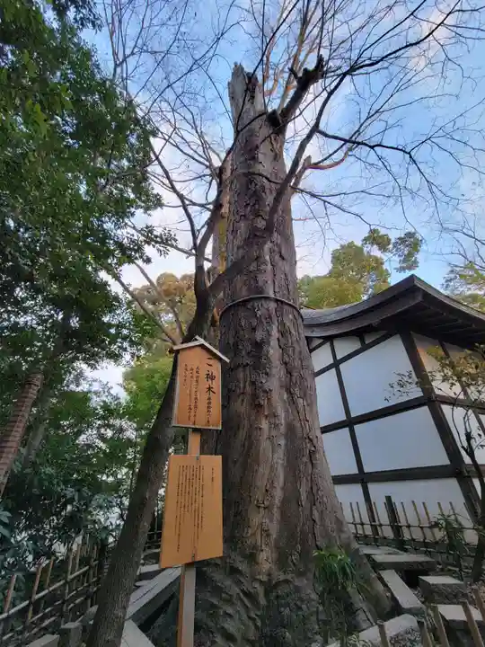 川越氷川神社の自然