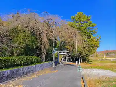 神明社(野方神明社)のその他建物