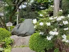 東長谷寺　薬王院の建物その他