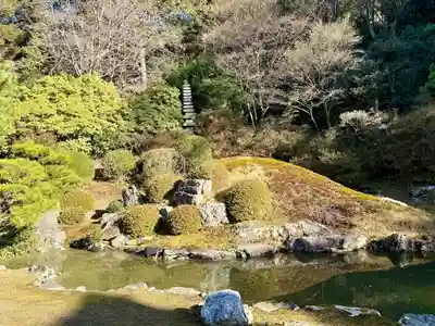 青蓮院門跡(京都府)