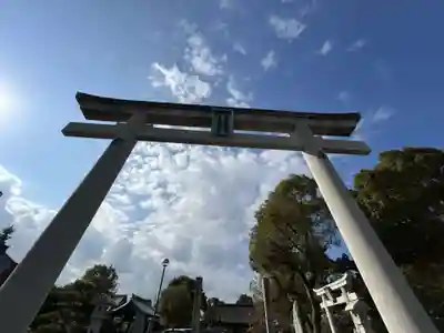別宮大山祇神社(愛媛県)