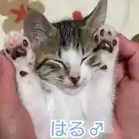 天王山 安楽寺(福井県)