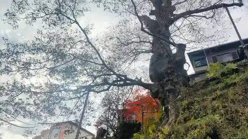 武蔵御嶽神社(東京都)