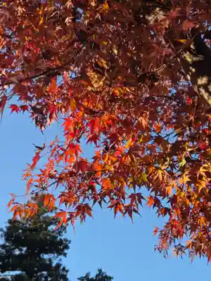 沙沙貴神社(滋賀県)