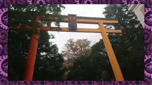 川越氷川神社(埼玉県)