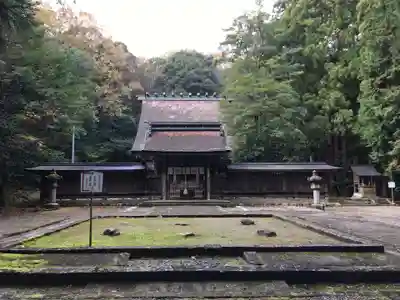 若狭彦神社（上社）の本殿・本堂