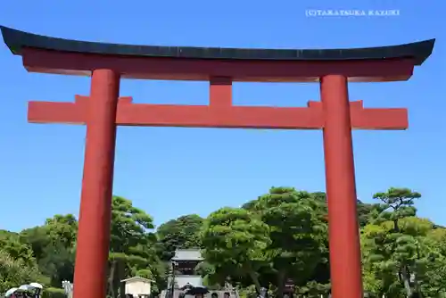 鶴岡八幡宮(神奈川県)
