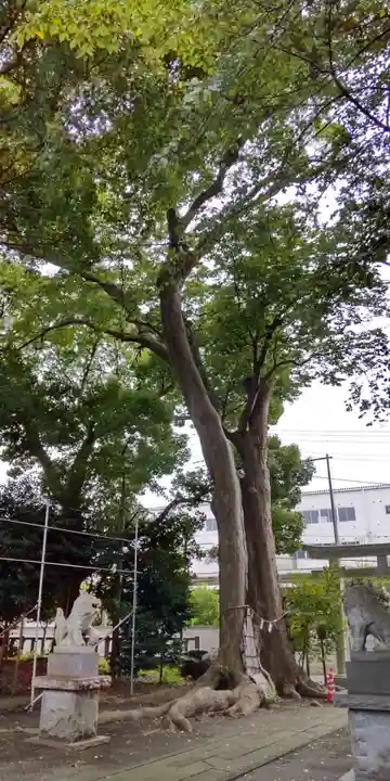 倉見神社(神奈川県)