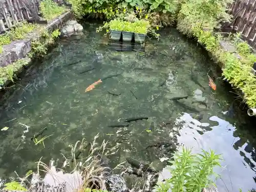 英彦山神宮(福岡県)