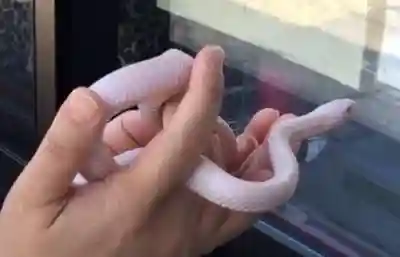 清光院(静岡県)