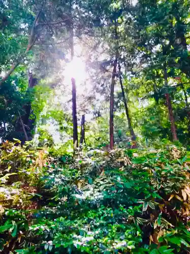 阿夫利神社の周辺
