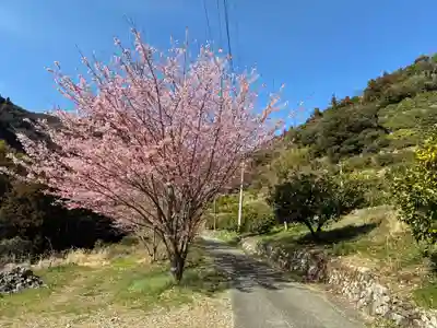星谷寺（星の岩屋）(徳島県)
