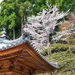 尊永寺の建物その他