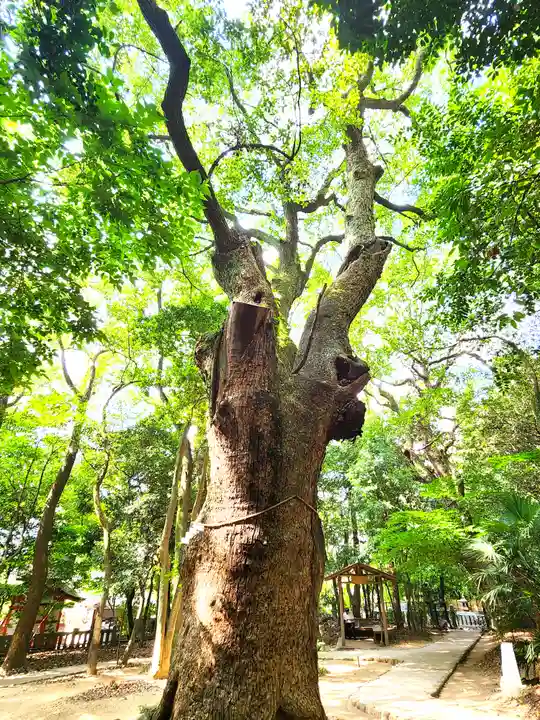 生田神社の自然