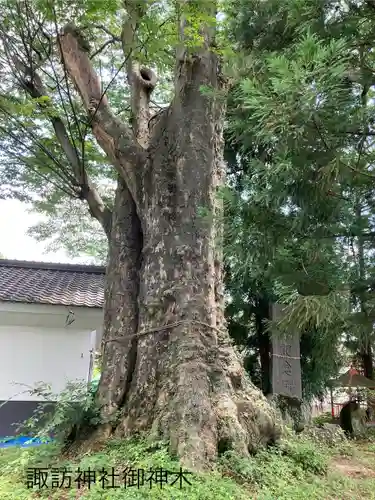 一本木諏訪神社(長野県)