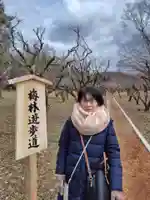 大覚寺(京都府)