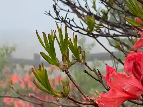 禰固岳神社(長野県)
