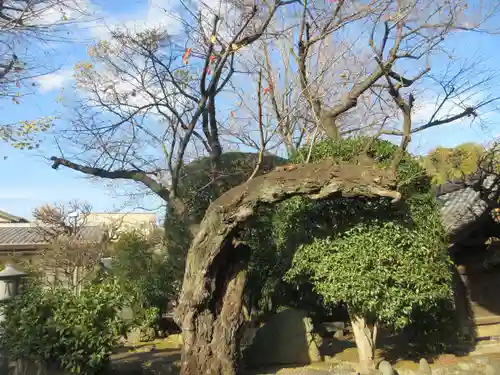 観藏院(東京都)