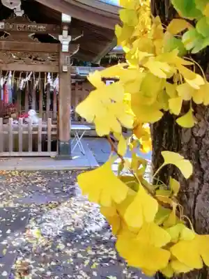 下谷神社(東京都)